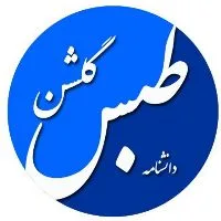 کانال روبیکا دانشنامه طبس گلشن